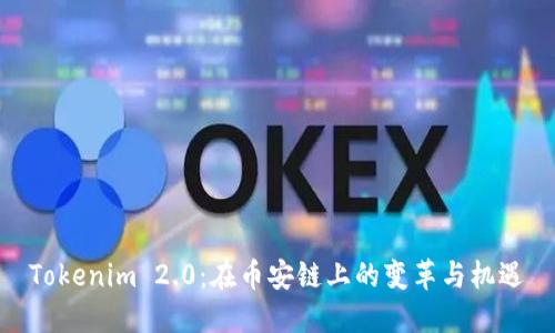 Tokenim 2.0：在币安链上的变革与机遇
