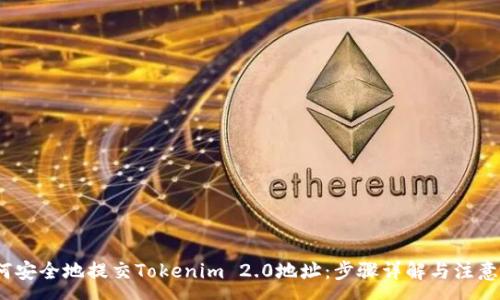 :
  如何安全地提交Tokenim 2.0地址：步骤详解与注意事项 