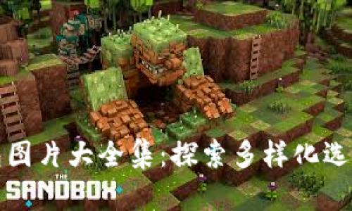 数字货币钱包图片大全集：探索多样化选择与最佳实践