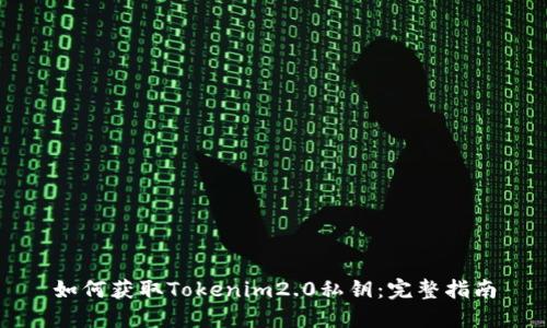 如何获取Tokenim2.0私钥：完整指南
