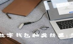 如何查看数字钱包抽奖结