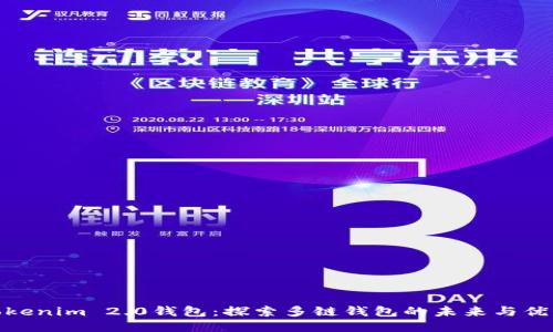 Tokenim 2.0钱包：探索多链钱包的未来与优势
