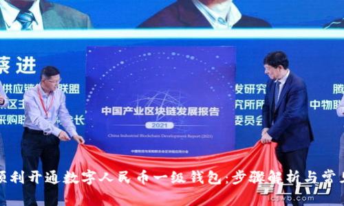 如何顺利开通数字人民币一级钱包：步骤解析与常见问题