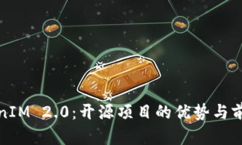 : TokenIM 2.0：开源项目的优势与前景分析