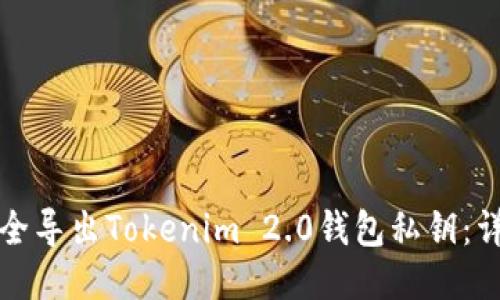 如何安全导出Tokenim 2.0钱包私钥：详细指南