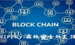 数字钱包VIPpay：高效安全
