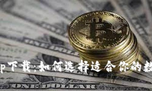 数字钱包app下载：如何选择适合你的数字钱包应用