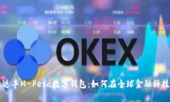 全面解析沃达丰M-Pesa数字