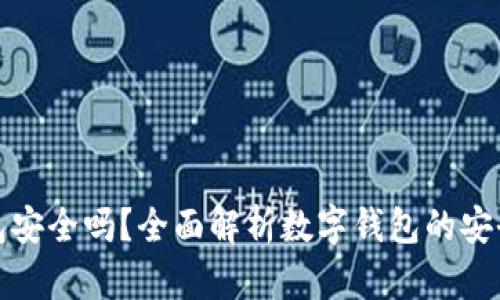 TP国际数字钱包安全吗？全面解析数字钱包的安全性与使用技巧