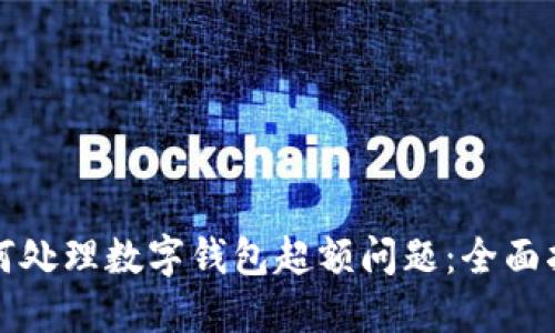 如何处理数字钱包超额问题：全面指南