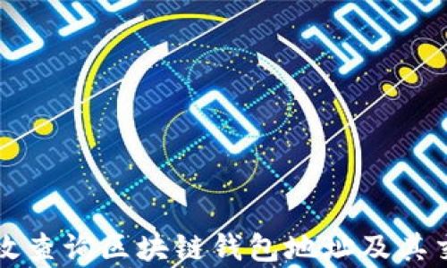 
如何有效查询区块链钱包地址及其交易记录