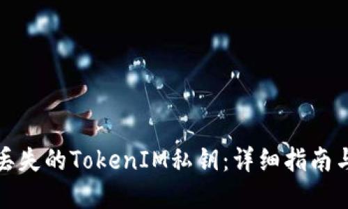 如何找回丢失的TokenIM私钥：详细指南与解决方案