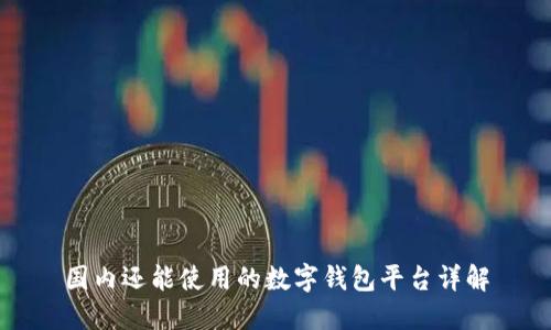 国内还能使用的数字钱包平台详解
