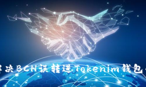 如何解决BCH误转进Tokenim钱包的问题