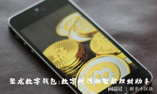聚龙数字钱包：数字时代的智能理财助手