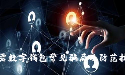 揭露数字钱包常见骗局及防范技巧