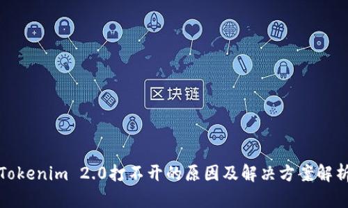 Tokenim 2.0打不开的原因及解决方案解析