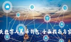 如何挂失数字人民币钱包：全面指南与实用建议