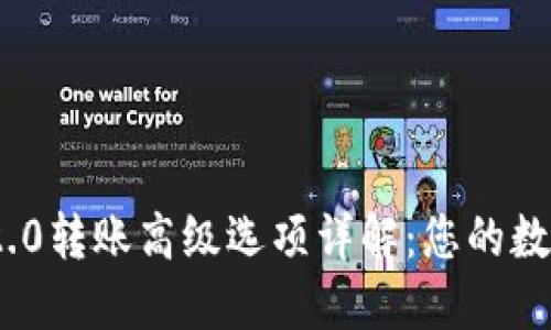 TokenIM 2.0转账高级选项详解：您的数字资产管理