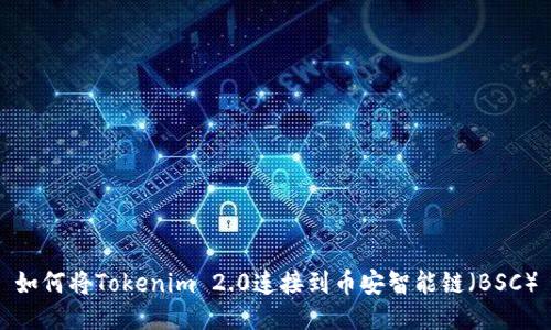 如何将Tokenim 2.0连接到币安智能链（BSC）