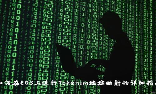 如何在EOS上进行Tokenim地址映射的详细指南