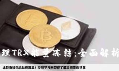 如何高效管理TRX能量冻结：全面解析与实用指南