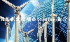 在了解有关“tokenim地址不