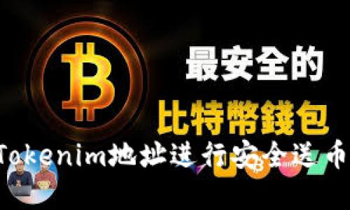 如何通过Tokenim地址进行安全送币：完整指南