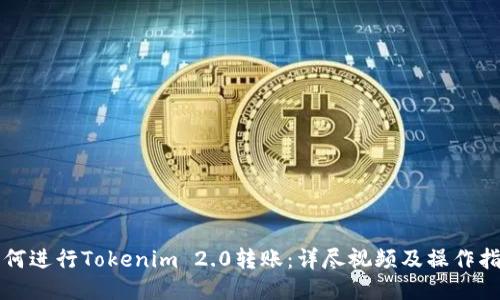 如何进行Tokenim 2.0转账：详尽视频及操作指南