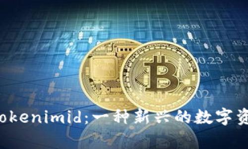 详细解析 Tokenimid：一种新兴的数字资产管理工具