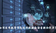 如何使用数字钱包进行收款和语音提示的设置