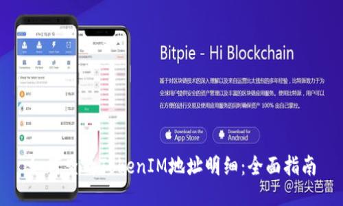 如何查看TokenIM地址明细：全面指南