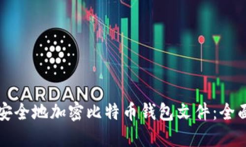 如何安全地加密比特币钱包文件：全面指南
