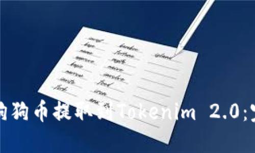 如何将狗狗币提取到Tokenim 2.0：完整指南