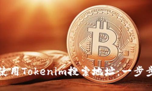 如何使用Tokenim搜索地址：一步步指南