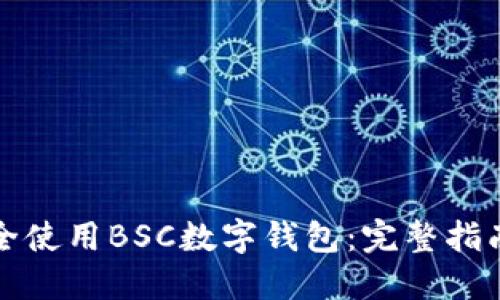 如何安全使用BSC数字钱包：完整指南与技巧