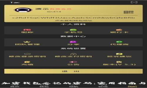 如何找回加密钱包忘记的密码：实用指南与应对策略