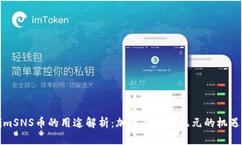 TokenimSNS币的用途解析：加密货币新纪元的机遇与挑战