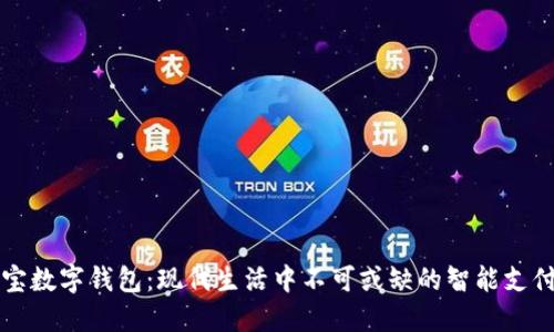 支付宝数字钱包：现代生活中不可或缺的智能支付工具