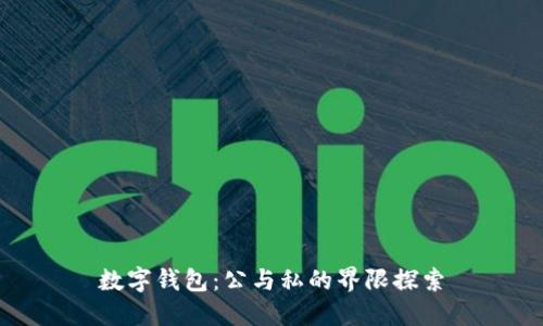 数字钱包：公与私的界限探索