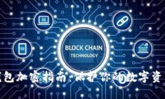 抖音钱包加密指南：保护