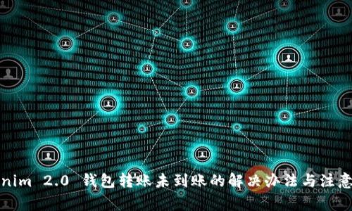 Tokenim 2.0 钱包转账未到账的解决办法与注意事项