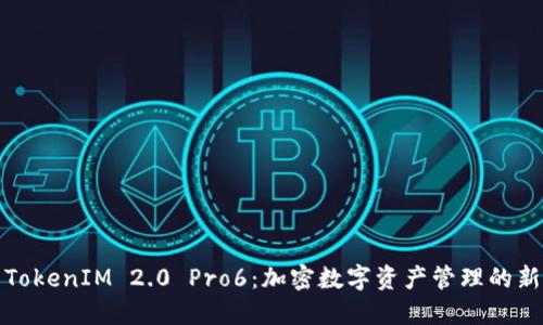 探索TokenIM 2.0 Pro6：加密数字资产管理的新纪元