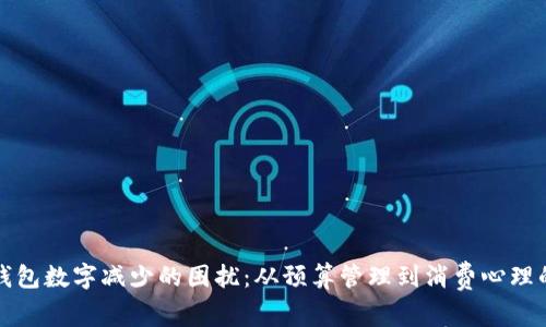 如何应对钱包数字减少的困扰：从预算管理到消费心理的深度解析