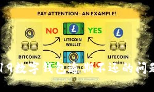 如何应对2019数字钱包逾期不还的问题与解决策略