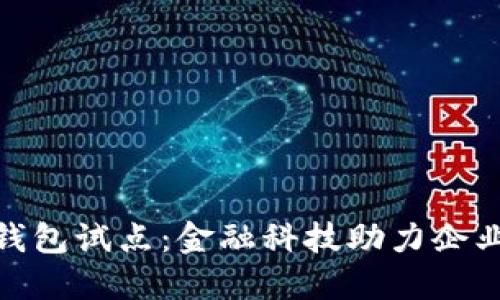 对公账户数字钱包试点：金融科技助力企业转型的新机遇