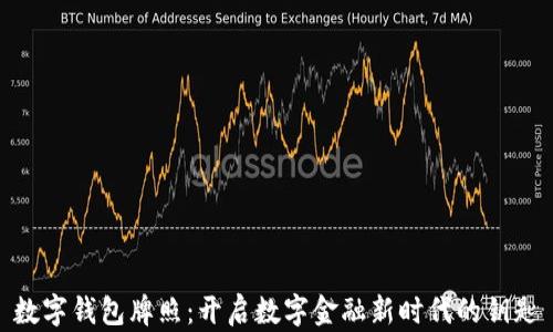 
数字钱包牌照：开启数字金融新时代的钥匙