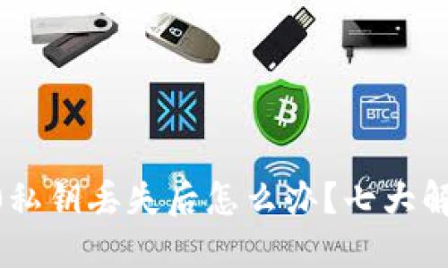 tokenim2.0私钥丢失后怎么办？七大解决方案详解