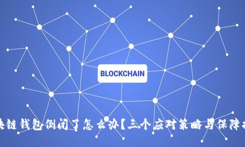 区块链钱包倒闭了怎么办？三个应对策略与保障措施