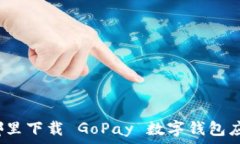 在哪里下载 GoPay 数字钱包